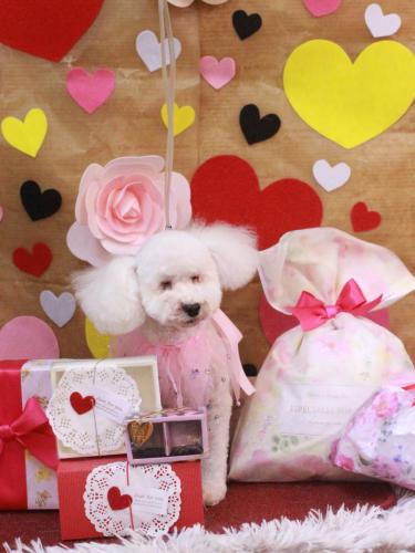 20230228あんちゃん